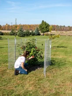 Tall Chicken Wire Critter Fence Extension Panel, Set Of 2 -Garden Sales 8613260 0090