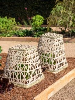 Bamboo Cloche, Set Of 2 -Garden Sales 8613351 0150 bamboo cloche set of 2
