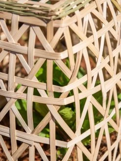 Bamboo Cloche, Set Of 2 -Garden Sales 8613351 0153