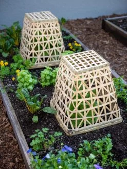Bamboo Cloche, Set Of 2 -Garden Sales 8613351 6766