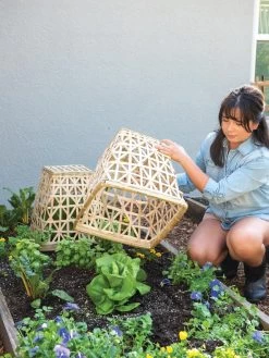 Bamboo Cloche, Set Of 2 -Garden Sales 8613351 6862