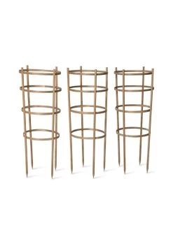 Bamboo Tomato Cages, Set Of 3 17 Bamboo Tomato Cages, Set Of 3 -Garden Sales 8613426 4679 bamboo tomato cages 3