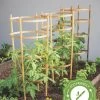 Bamboo Tomato Cages, Set Of 3 1 Bamboo Tomato Cages, Set Of 3 -Garden Sales 8613426 7