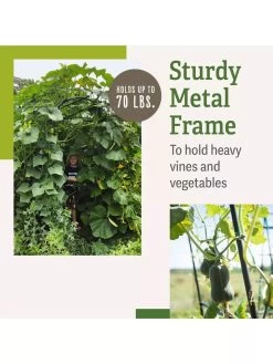 Titan Squash Tunnel 13 Titan Squash Tunnel -Garden Sales B07932DMCR plantsupport benefits 2