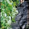 Pro Weed Mat, 3' X 50' 2 Pro Weed Mat, 3' X 50' -Garden Sales GS34312 01 tif