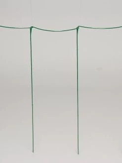 Curved Linking Stakes -Garden Sales GS35241 04S tif