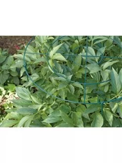 Grow Through Supports, Set Of 3 9 Grow Through Supports, Set Of 3 -Garden Sales GS40172 01 1