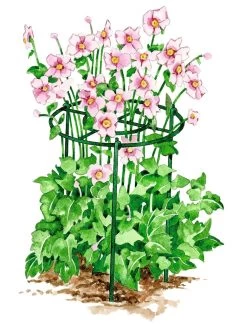 Grow Through Supports, Set Of 3 8 Grow Through Supports, Set Of 3 -Garden Sales GS40172 02S tif