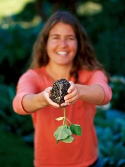 Deep Root Seedstarting System, Black -Garden Sales GSCOVSPR06D2 01