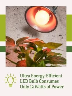 Miracle LED® Absolute Daylight™ Max Flowering Grow Light Bulb -Garden Sales Miracle Daylight Bulb 2