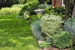 ShrubJacket Covers 9 ShrubJacket Covers -Garden Sales gs39166 02
