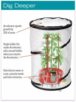 Tomato TLC Kits, Set Of 3 -Garden Sales hiw 8594214 jpg