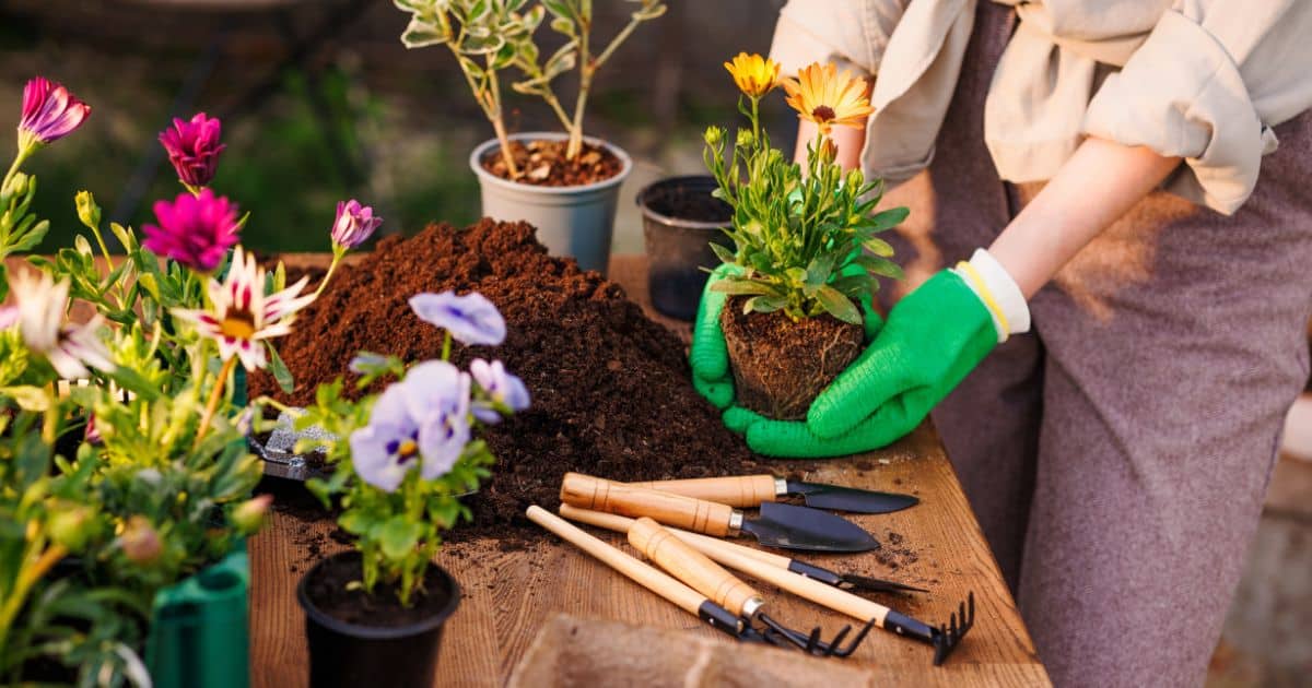 Garden Sales -Garden Sales gardening tools thumbnail 2